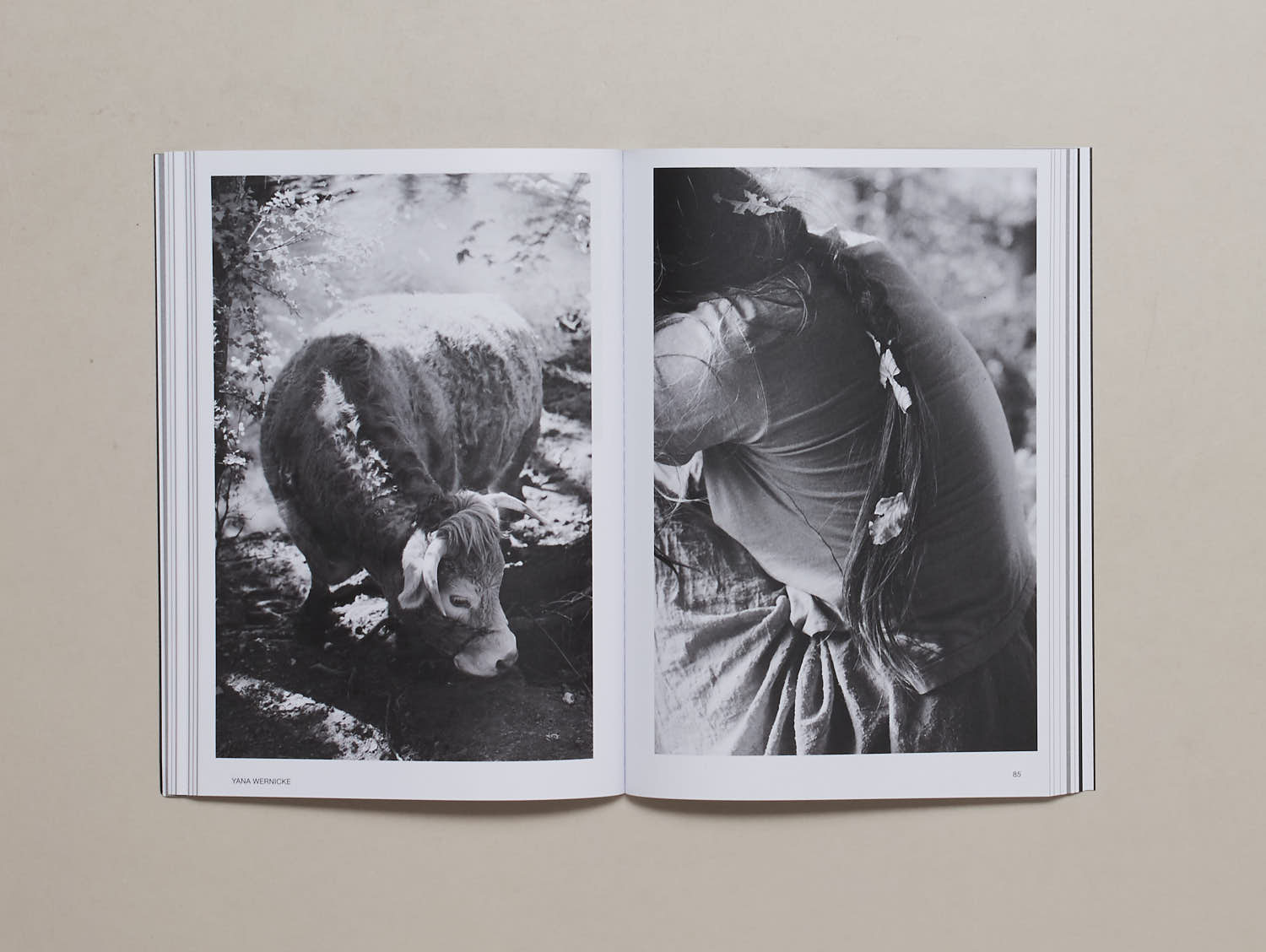 Hotshoe 209 An Emotional Landscape Antenne Books